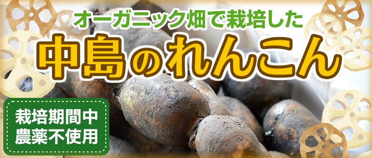 れんこん
