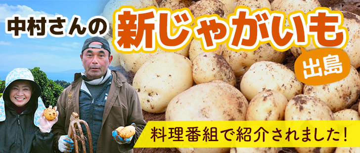 新じゃがいも