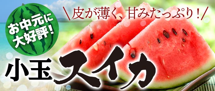 スイカ