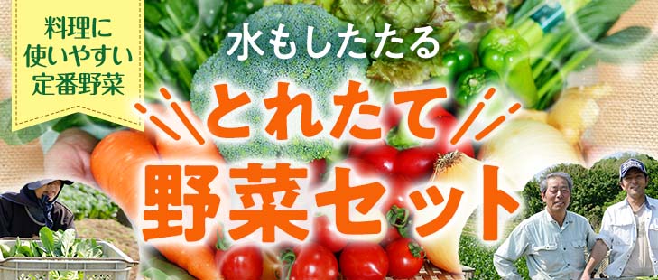 野菜セット