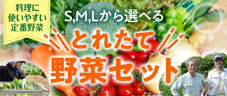 野菜セット