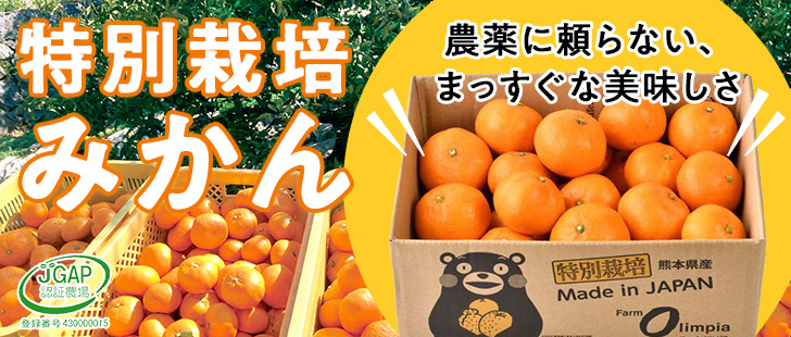 特別栽培みかん