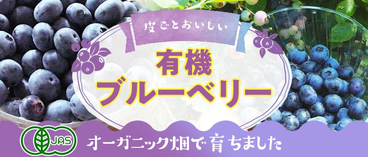 ブルーベリー