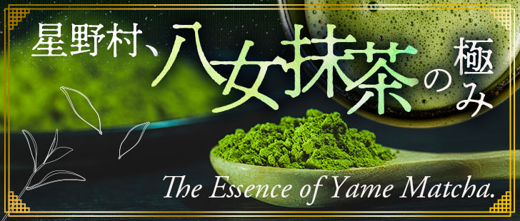 八女抹茶