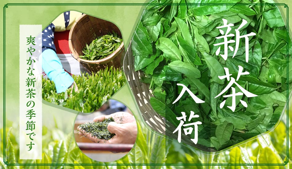 新茶入荷しました