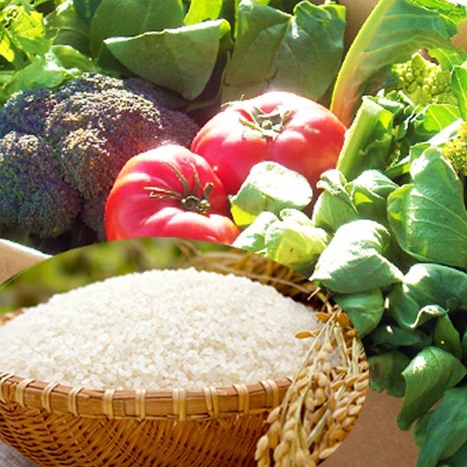 【母の日限定メッセージカード付き】野菜とお米のギフト クール便