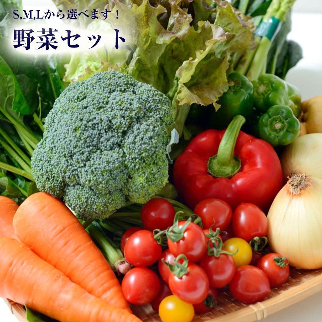 武家丸⭐️１０キロお野菜セット 旬のお野菜セット|楽園彩活まんまる | ツクツク!!!ファーム | 生産者