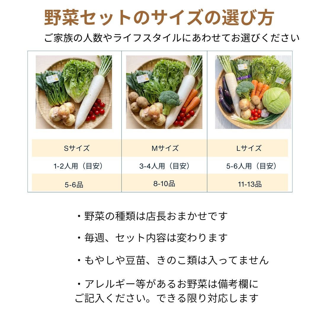 九州産 旬の野菜セット S／M／L クール便 | 朝ごはん本舗