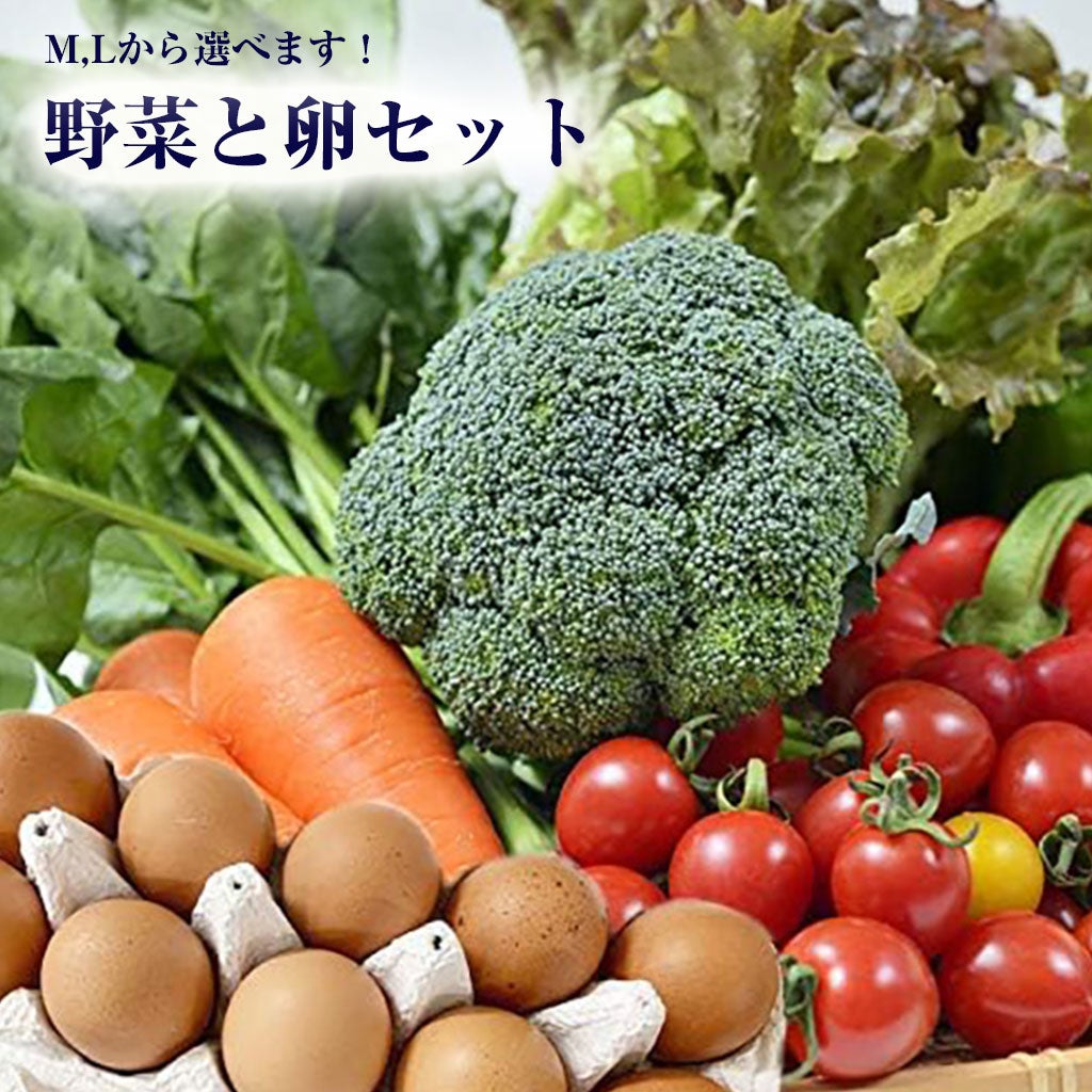 定期購入】九州のこだわり野菜と卵＆果物セット | 朝ごはん本舗