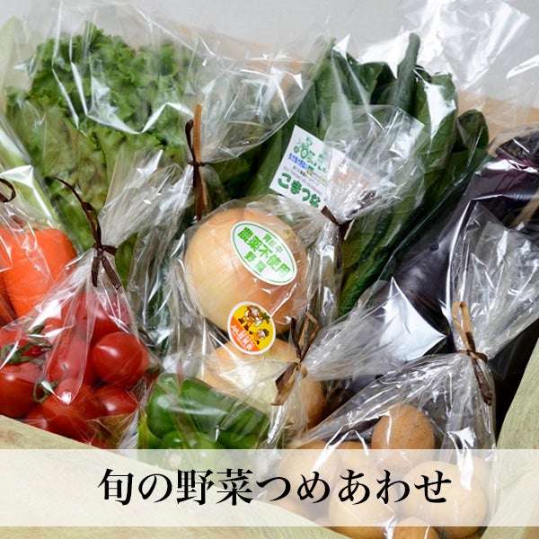 九州産 旬の野菜＋卵セット M／L クール便 | 朝ごはん本舗