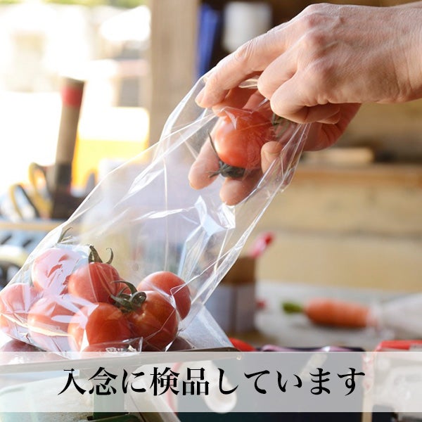 九州産 旬の野菜＋卵セット M／L クール便 | 朝ごはん本舗