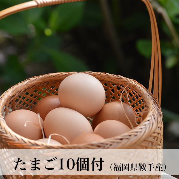 定期購入】九州のこだわり野菜と卵＆果物セット | 朝ごはん本舗
