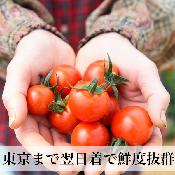 定期購入】九州野菜と卵セット | 朝ごはん本舗