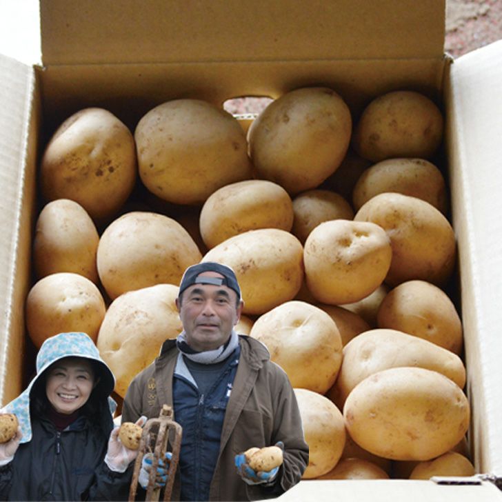 000000000797-01.jpg?size=m&w=