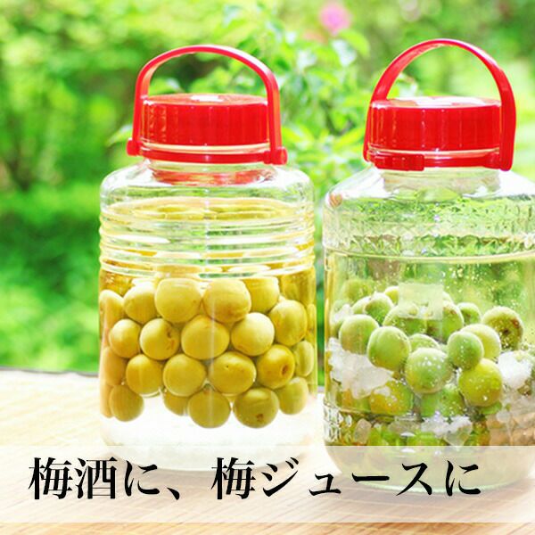 森農園の青梅 大分県産 ご予約品 | 朝ごはん本舗