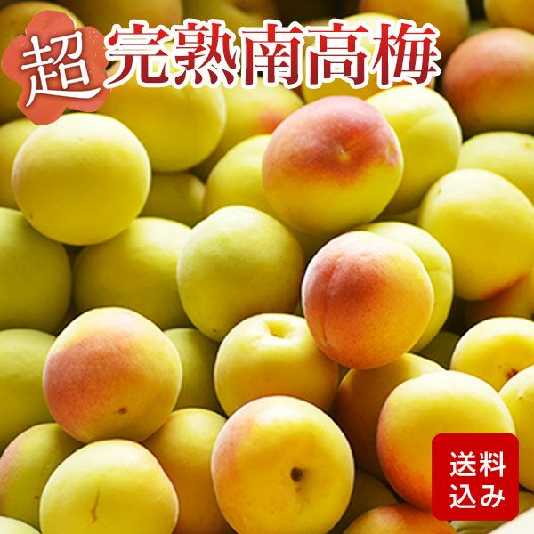 超！ 完熟南高梅 大分県産 クール便 ご予約品 | 朝ごはん本舗