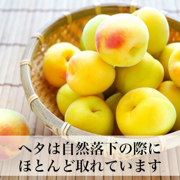超！ 完熟南高梅 大分県産 クール便 | 朝ごはん本舗