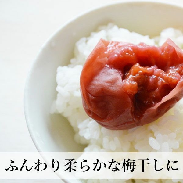 超！ 完熟南高梅 大分県産 クール便 ご予約品 | 朝ごはん本舗