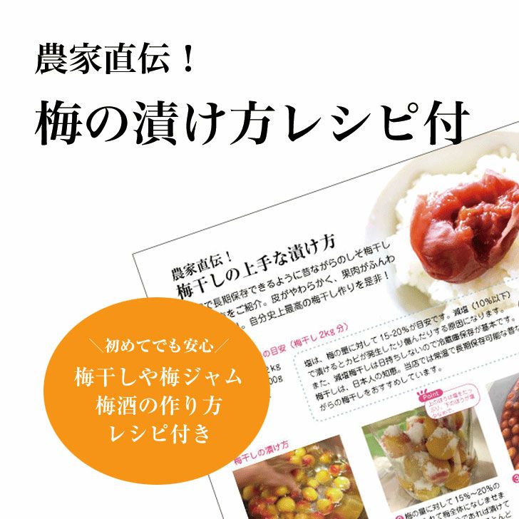 超！ 完熟南高梅 大分県産 クール便 | 朝ごはん本舗