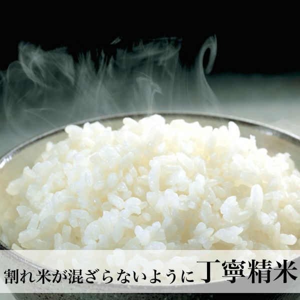 元気つくし 5kg 福岡県産 | 朝ごはん本舗