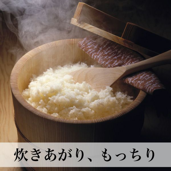 元気つくし 5kg 福岡県産 | 朝ごはん本舗