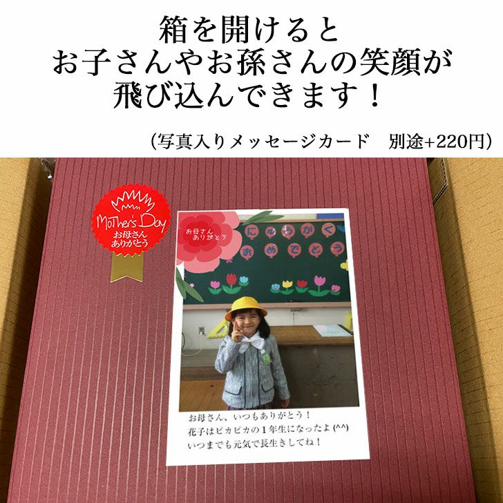 【選べるギフト】にじいろ甘酒 　ノンアルコール