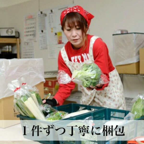 【母の日限定メッセージカード付き】野菜ギフト 8-9品 クール便