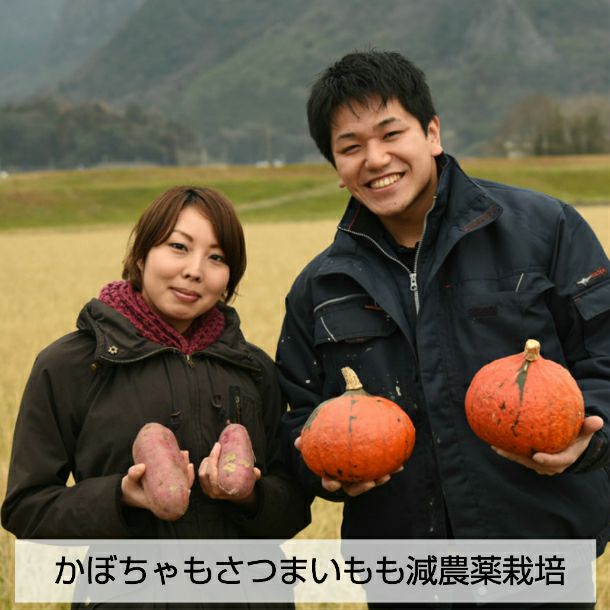 阪本農園のさつまいも＆かぼちゃプリン 【冷凍】 | 朝ごはん本舗