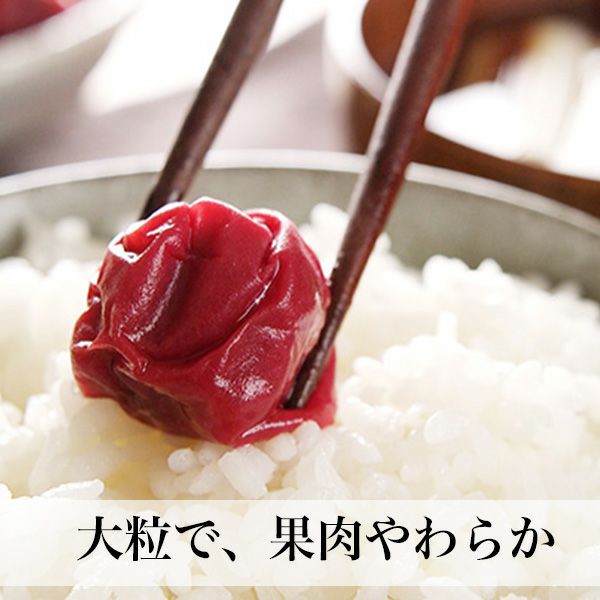 昔ながらのすっぱい梅干し【しそ梅】 パック入 | 朝ごはん本舗