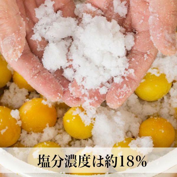 昔ながらのすっぱい梅干し【しそ梅】 パック入 | 朝ごはん本舗