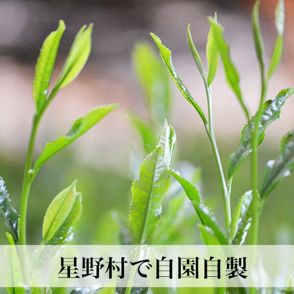 抹茶 20g缶 星野村 | 朝ごはん本舗
