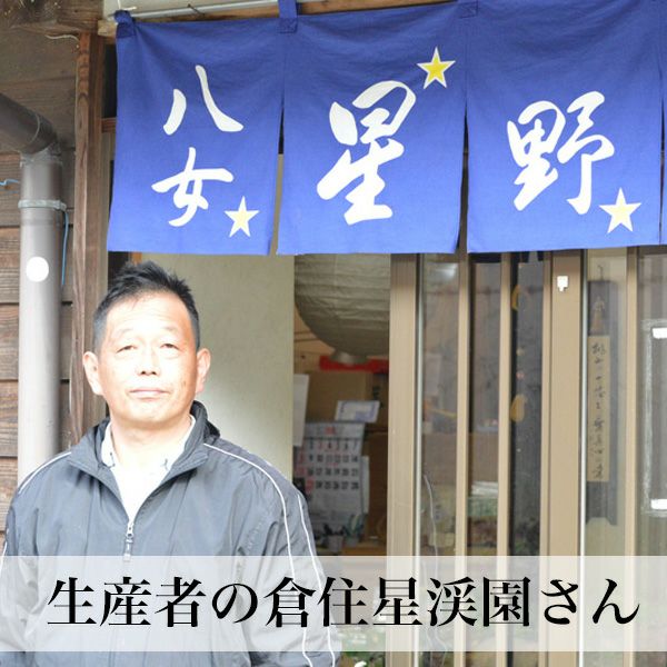 抹茶 20g缶 星野村 | 朝ごはん本舗
