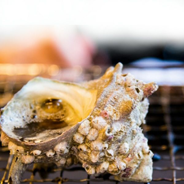 サザエさん　エンダモロジーセット（2000円お値引き済） 鳥羽産サザエ、タコ！ | 伊勢海老 海鮮蒸し料理 華月