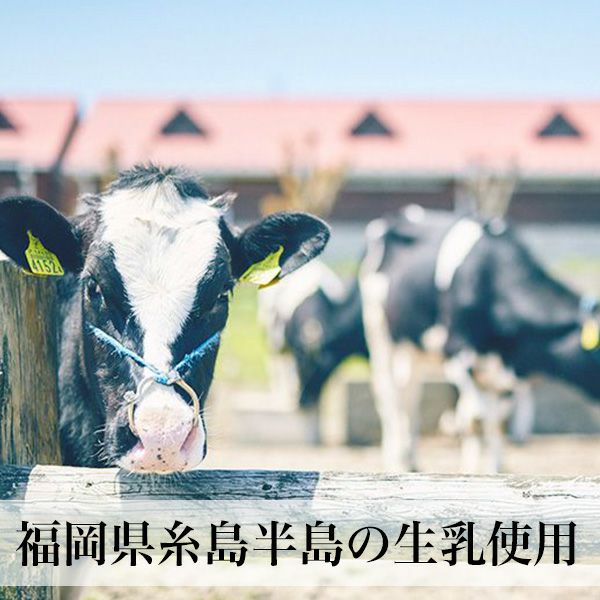 食べるヨーグルト 微糖 400g×2本 【クール便】