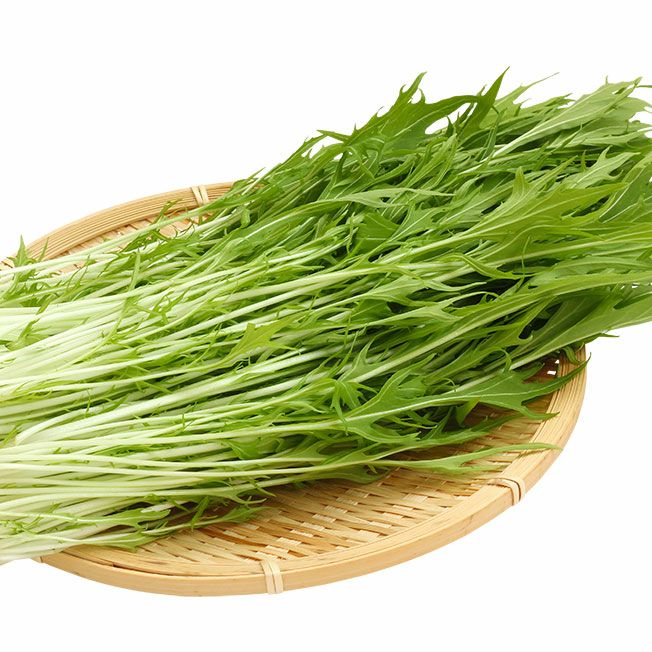 水菜 化学肥料/農薬不使用だから安 70g〜 新鮮！採れたて！ミックス水菜 皿・プレート