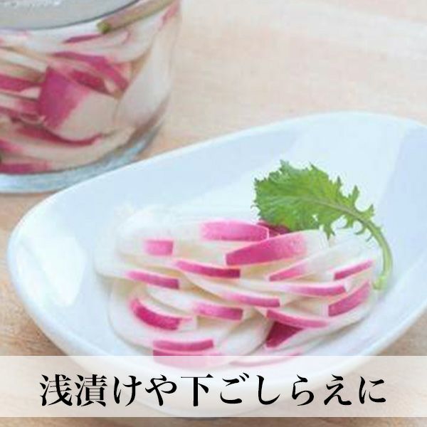 赤梅酢 500ml 無添加 無着色 ペットボトルタイプ | 朝ごはん本舗