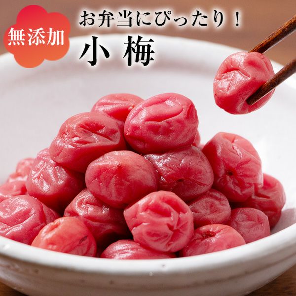 000000001723-01.jpg?size=xs&w=