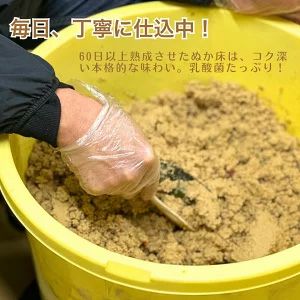 熟成ぬか床 800g 保存料不使用 クール便 | 朝ごはん本舗