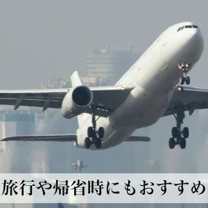 赤ちゃんスープ 3袋 食塩不使用 添加物不使用 離乳食 メール便対応