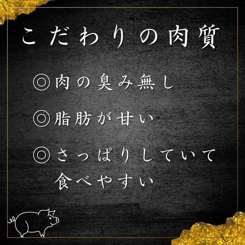 鹿児島黒豚 ミンチ ひき肉 500g 冷凍便
