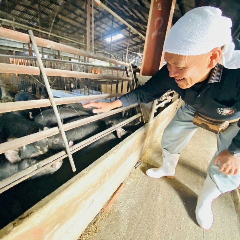 鹿児島黒豚 ミンチ ひき肉 500g 冷凍便
