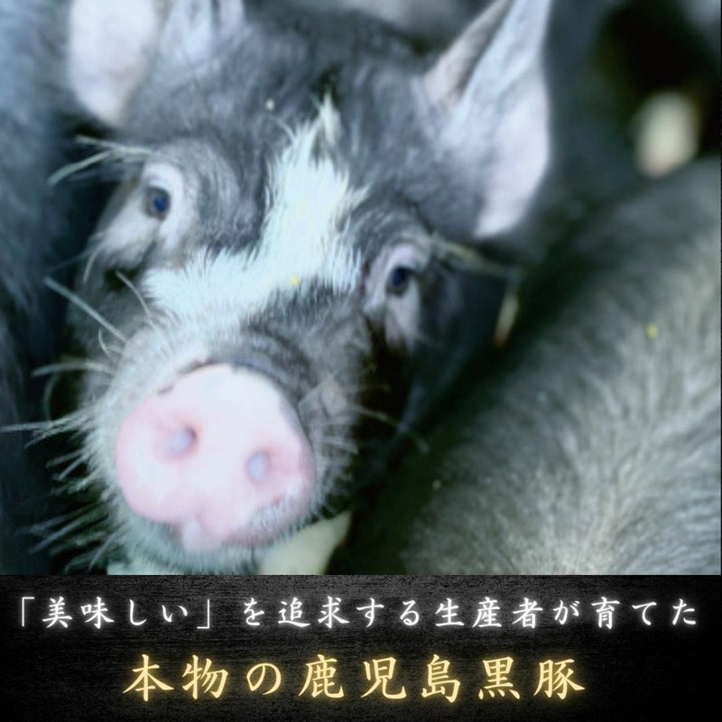 鹿児島黒豚　みそ漬けステーキ 2枚入 惣菜 冷凍便