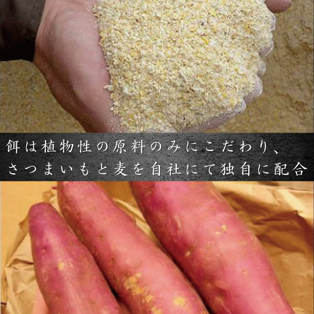 鹿児島黒豚　みそ漬けステーキ 2枚入 惣菜 冷凍便