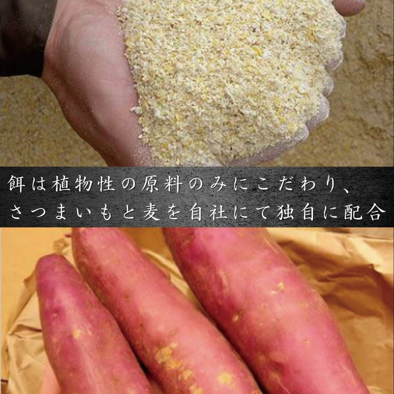 鹿児島黒豚　みそ漬けステーキ 2枚入 惣菜 冷凍便