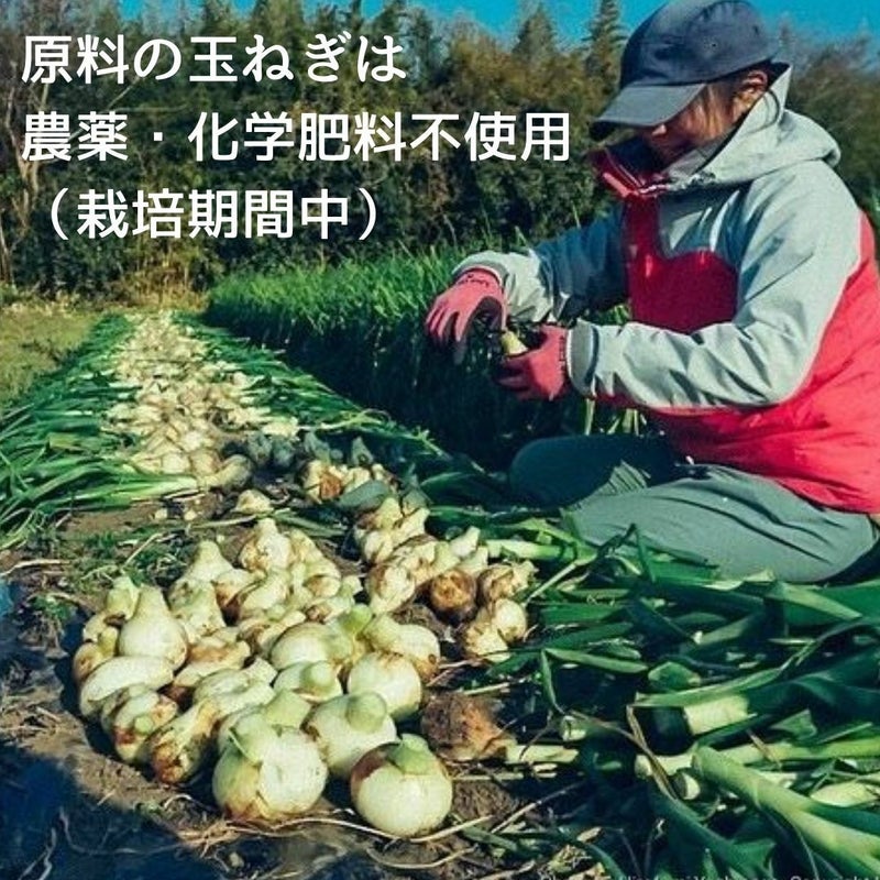 たまねぎ麹　170g 無添加