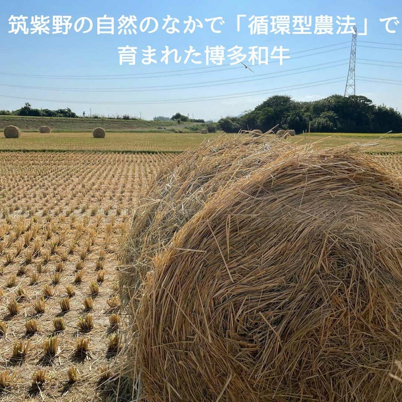 博多和牛　ヒレステーキ100g×2 化粧箱入 冷凍