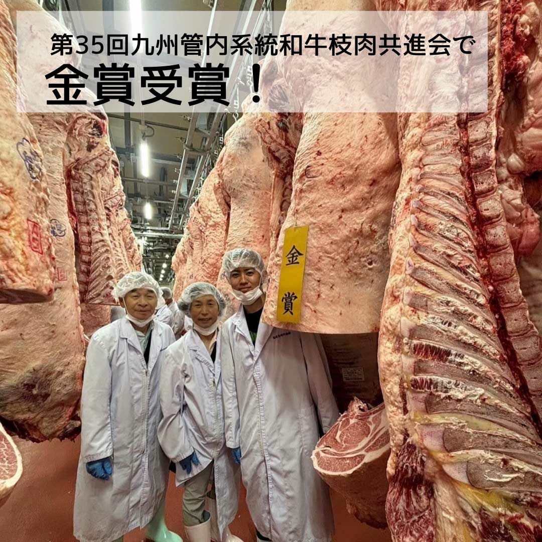 博多和牛　ヒレステーキ100g×2 化粧箱入 冷凍