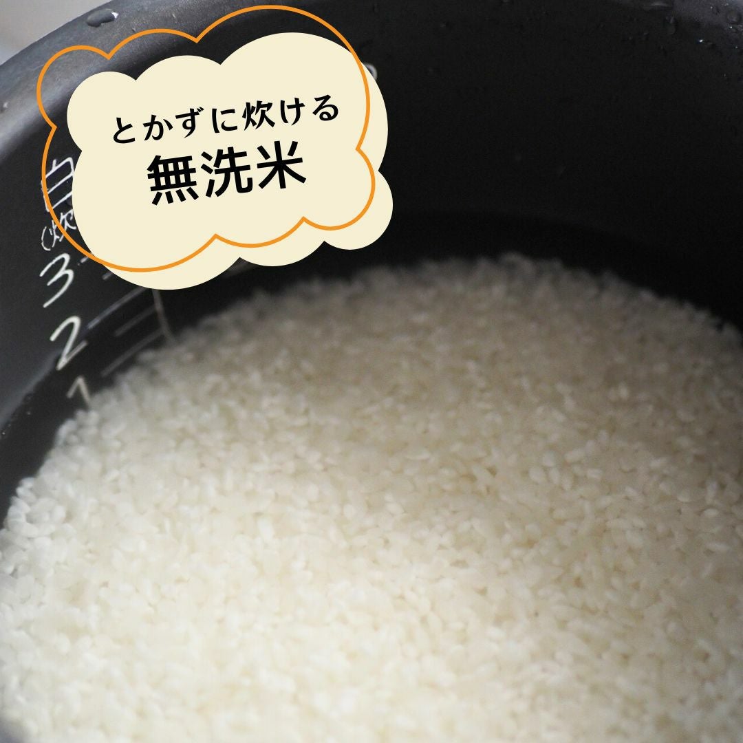 お米のギフト 無洗米 真空パック 2kg | 朝ごはん本舗