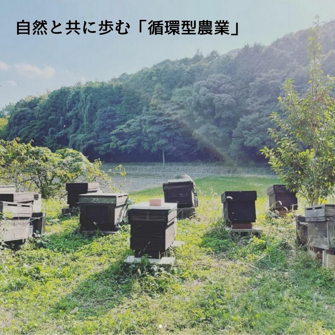 国産 はちみつ 2本入りギフトセット | 朝ごはん本舗