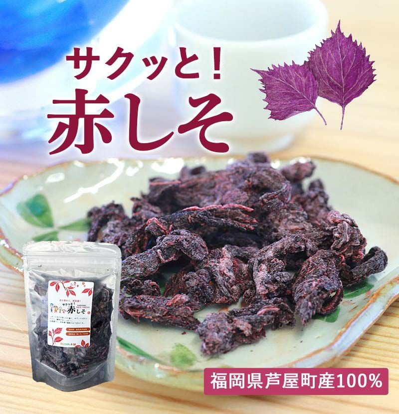 サクッと!赤しそ 福岡県芦屋町産